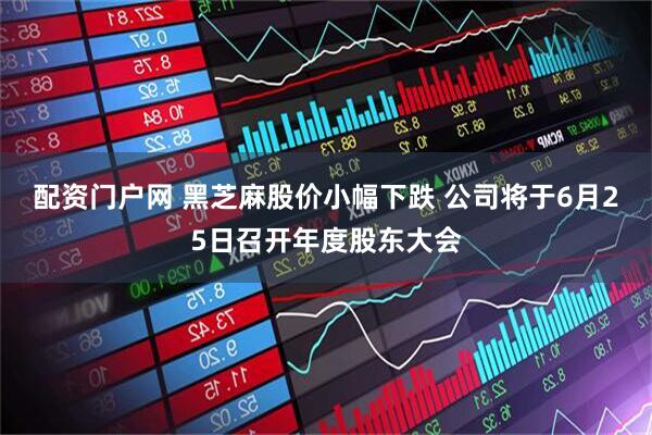 配资门户网 黑芝麻股价小幅下跌 公司将于6月25日召开年度股东大会