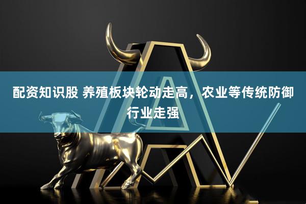 配资知识股 养殖板块轮动走高，农业等传统防御行业走强