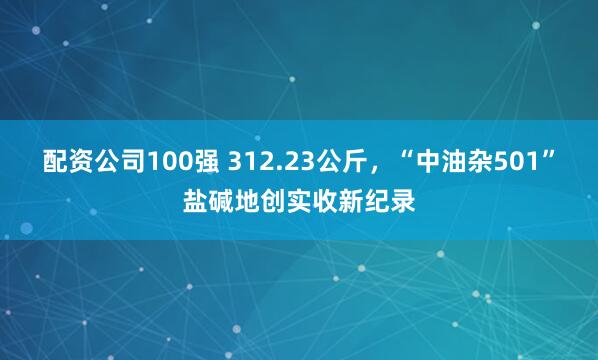 配资公司100强 312.23公斤，“中油杂501”盐碱地创实收新纪录