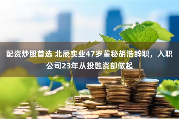 配资炒股首选 北辰实业47岁董秘胡浩辞职，入职公司23年从投融资部做起
